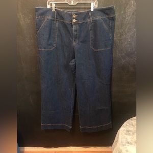 EUC 24W Cato’s Jeans Wide Legs with Contrast Thread Hems